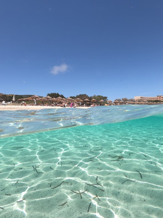 在撒丁岛、阿尔盖罗岛，白色沙子的蔚蓝海中，全景背景，带复制空间的波纹水面 免版税库存图片
