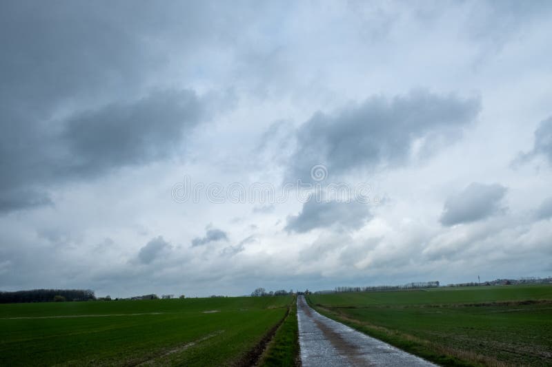 This dramatic landscape captures a rural road cutting through expansive green fields under brooding storm clouds. The contrast between the dark, heavy sky and the open field evokes the raw, unpredictable beauty of nature. Stormy Skies Over Rural Road Amidst Sprawling Fields. High quality photo. This dramatic landscape captures a rural road cutting through expansive green fields under brooding storm clouds. The contrast between the dark, heavy sky and the open field evokes the raw, unpredictable beauty of nature. Stormy Skies Over Rural Road Amidst Sprawling Fields. High quality photo