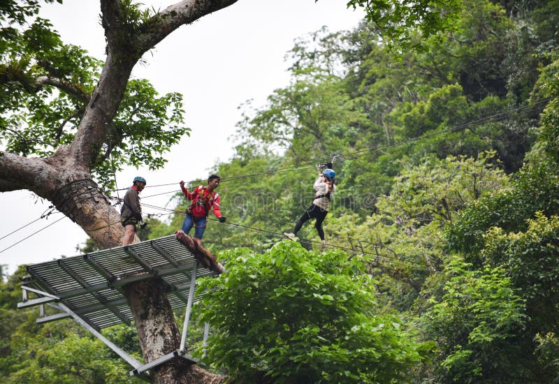 在树的Zipline冒险 免版税库存图片 在树的Zipline冒险 免版税库存图片