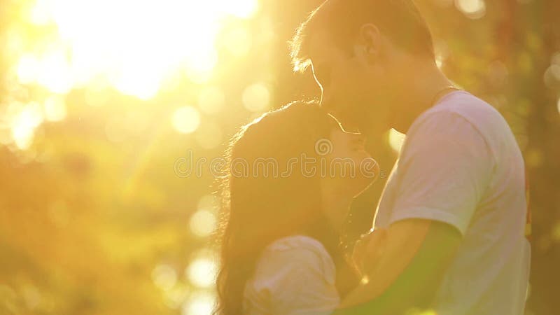 在爱的美好的年轻夫妇在秋天停放 日落