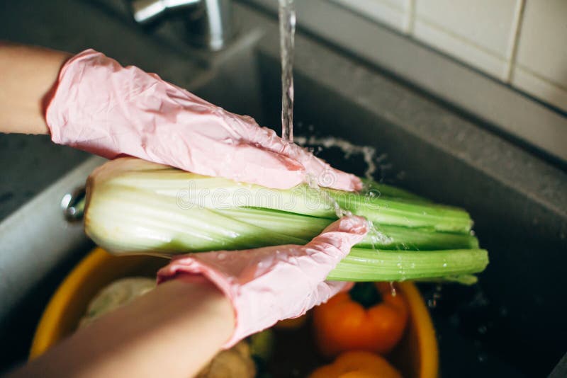 Hands in pink gloves washing celery in water stream in sink during virus epidemic. Woman  cleaning fresh vegetables, preparing for cooking meal in modern kitchen. Washing vegetables. Hands in pink gloves washing celery in water stream in sink during virus epidemic. Woman  cleaning fresh vegetables, preparing for cooking meal in modern kitchen. Washing vegetables