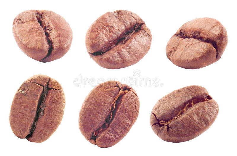 在白色的豆早餐咖啡理想的查出的宏指令 免版税库存图片