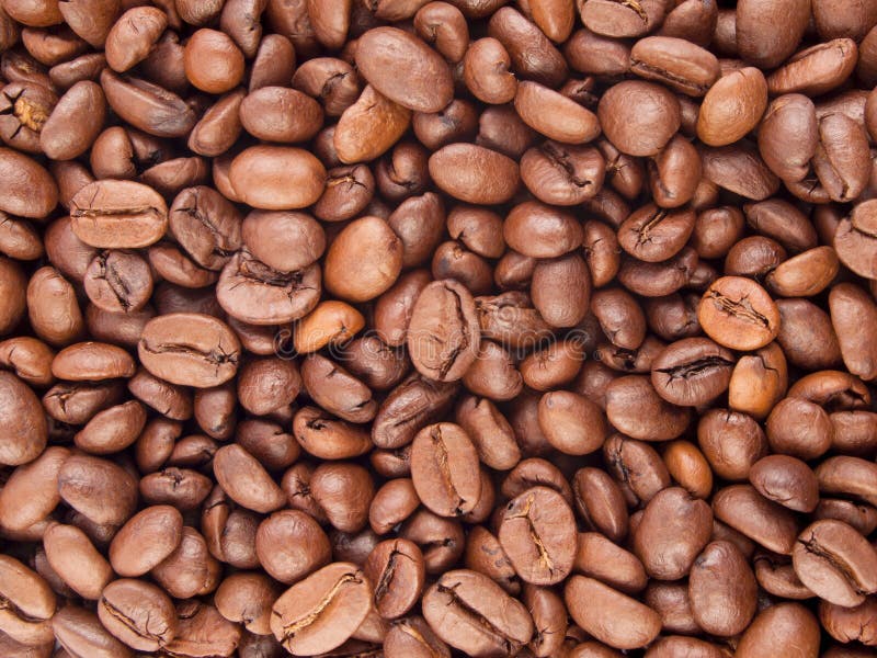 在白色的豆早餐咖啡理想的查出的宏指令 库存图片