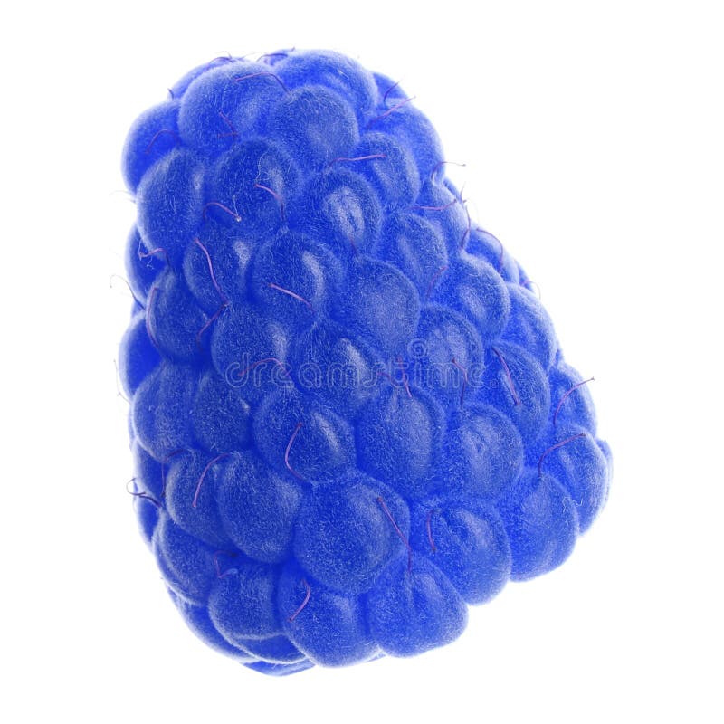 Fresh sweet blue raspberry on white background, closeup. Fresh sweet blue raspberry on white background, closeup