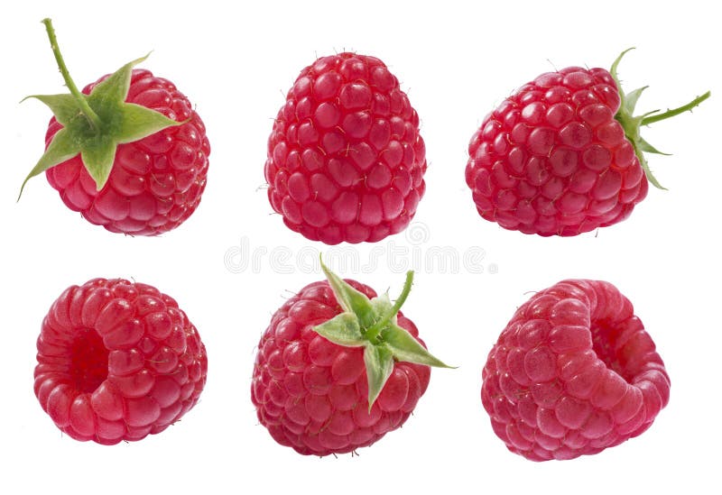 Raspberry set isolated on white background as package design elements. Raspberry set isolated on white background as package design elements