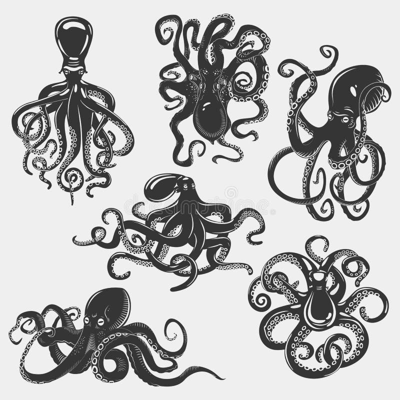 Suction cups on octopus tentacle. Cephalopod swimming set and underwater mollusk, isolated ocean octopus monster, cuttlefish animal. For mascot or tattoo of octopus, aquarium zoology logo. Suction cups on octopus tentacle. Cephalopod swimming set and underwater mollusk, isolated ocean octopus monster, cuttlefish animal. For mascot or tattoo of octopus, aquarium zoology logo