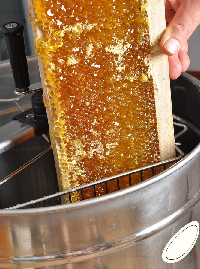 Colorful and crisp image of uncapped honeycomb in honey extractor. Colorful and crisp image of uncapped honeycomb in honey extractor