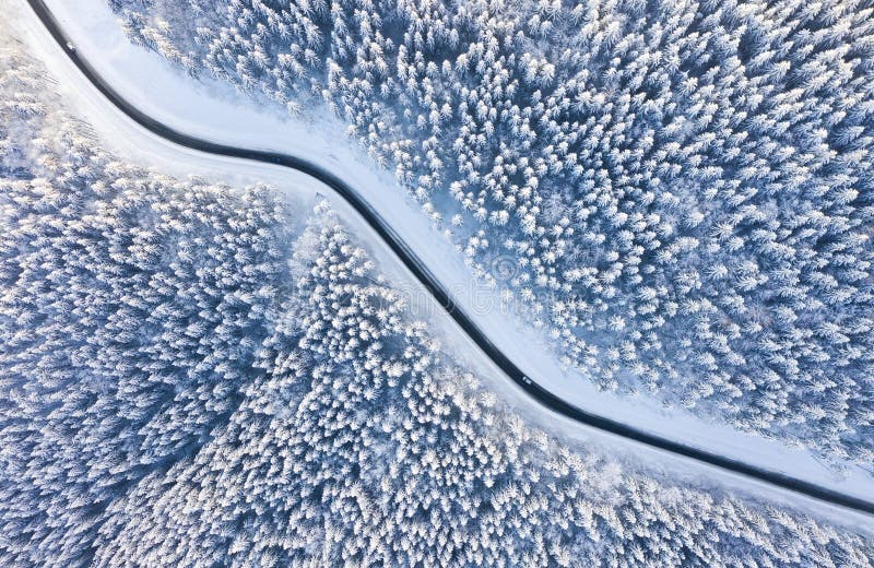 在路和森林的鸟瞰图冬时的 从空气的自然冬天风景 在雪a下的森林冬时 库存图片