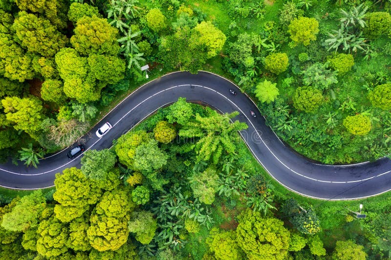 在路的鸟瞰图在森林高速公路throu从寄生虫的森林视图 在夏时的自然风景从空气 库存图片