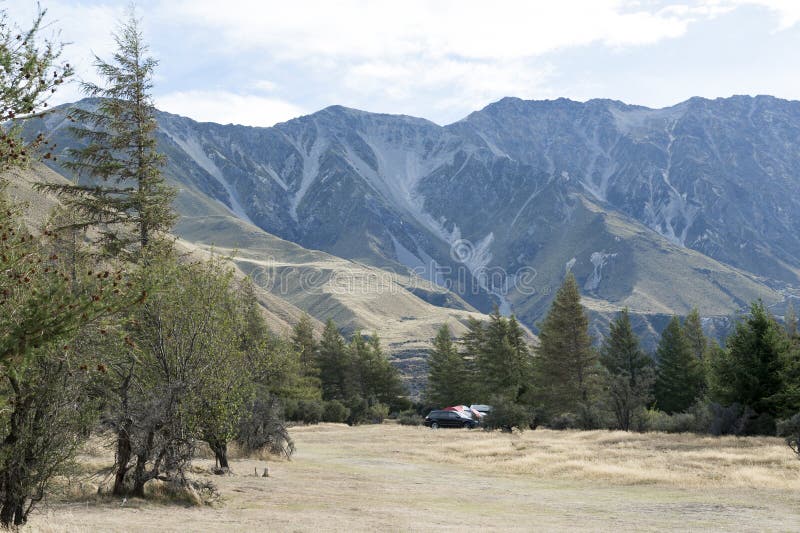 在露营地的杉树在Glentanner公园集中, Aoraki/库克山国家公园,坎特伯雷,新西兰 免版税库存图片 在露营地的杉树在Glentanner公园集中, Aoraki/库克山国家公园,坎特伯雷,新西兰 免版税库存图片