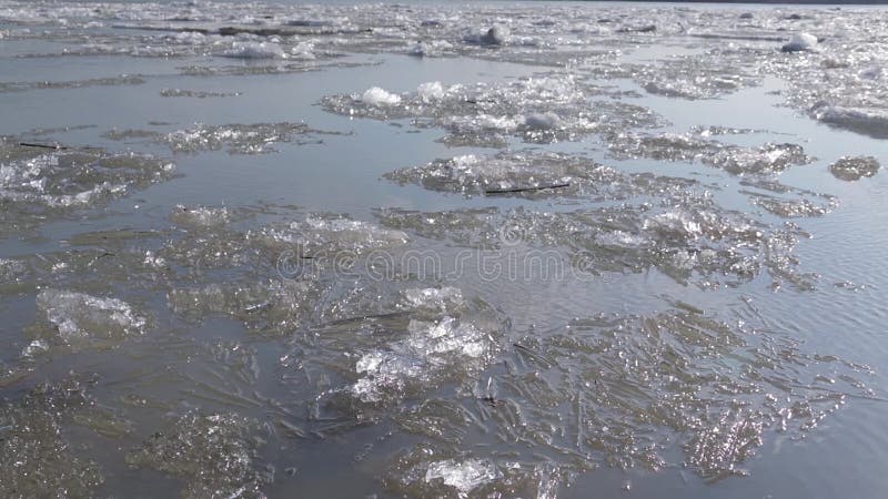 在额尔齐斯河的冰漂泊