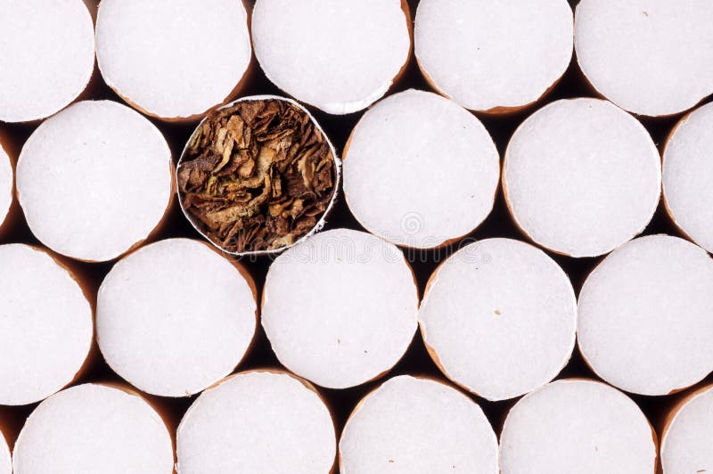 香烟中的烟草 库存图片