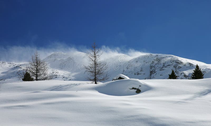 Winter snow scene with natural elements and windy alpine background. Winter snow scene with natural elements and windy alpine background.