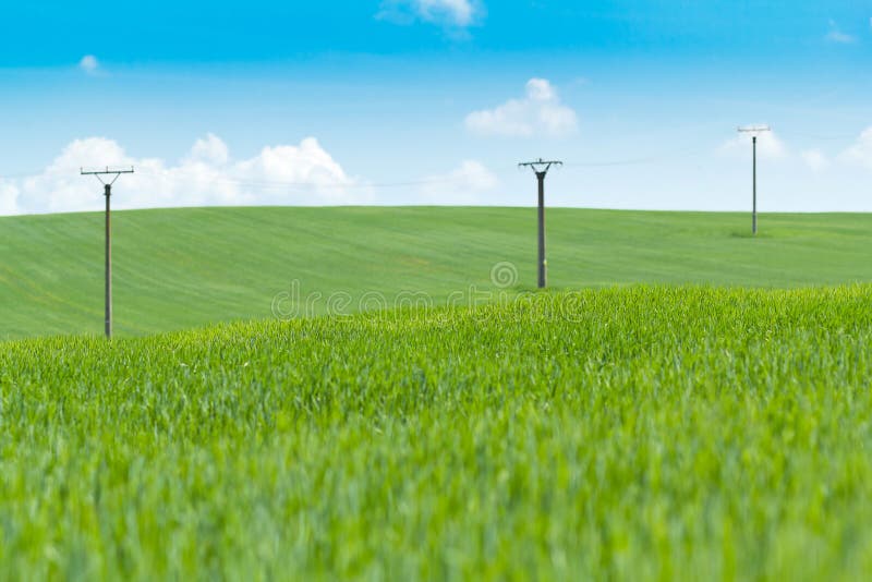 High voltage power lines in greeen field against a blue sky. High voltage power lines in greeen field against a blue sky