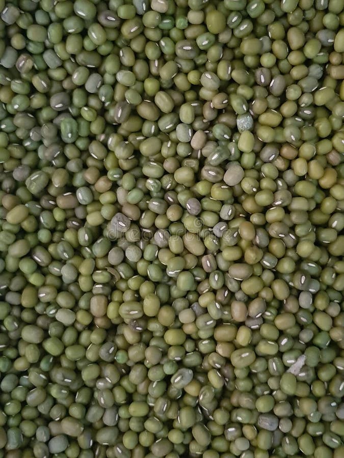 堆绿豆种子特写
