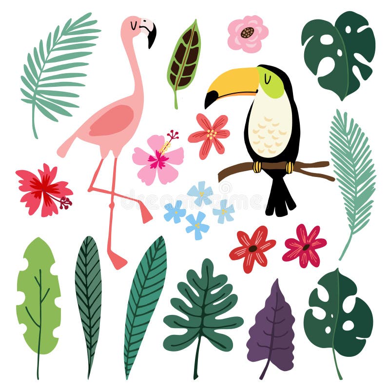 夏天热带图表元素 Toucan和火鸟鸟 密林花卉例证,棕榈, monstera离开 库存例证 夏天热带图表元素 Toucan和火鸟鸟 密林花卉例证,棕榈, monstera离开 库存例证