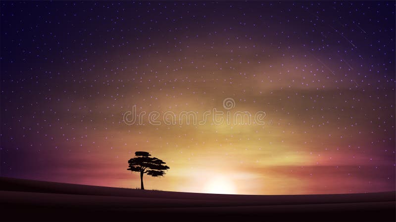 夕阳、星空多云、田地干净、树木独树 向量例证