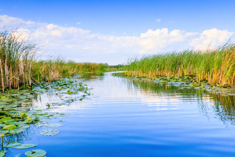 Danube Delta, Romania. Water channel in the Danube Delta with swamp vegetation. Danube Delta, Romania. Water channel in the Danube Delta with swamp vegetation.