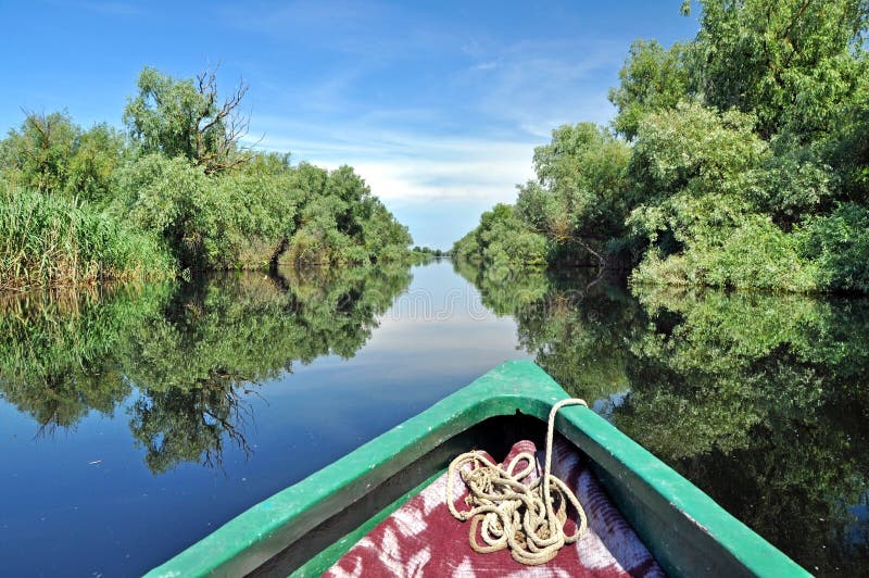 Water channel in the Danube delta with swamp vegetation and flooded forest. Water channel in the Danube delta with swamp vegetation and flooded forest