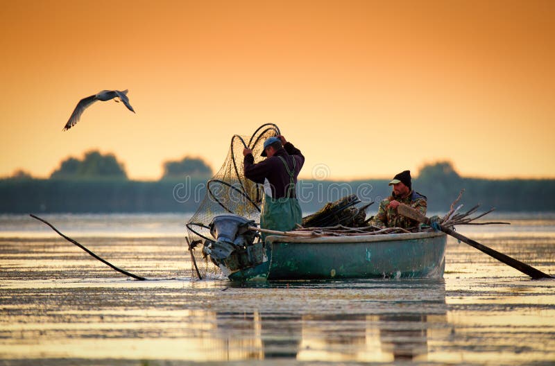 Danube Delta, Romania, June 2017: fishermans checking nests at sunrise in Danube Delta. Danube Delta, Romania, June 2017: fishermans checking nests at sunrise in Danube Delta