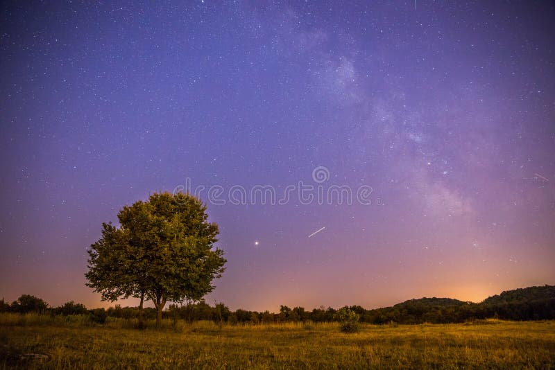 Clear purple sky with stars, lonely field and tree, night, astro, physics, galaxy, landscape, science, astronomy, milky, way, atmosphere, cosmos, dark, universe, heaven, god, humanity, light, nature, outlet, planet, space, starlight, starry, shooting, epic, inspiring, gps, astrophotography, background, black, colors, stellar, summer, telescope, austria, nightscape, stardust, nebula, deep. Clear purple sky with stars, lonely field and tree, night, astro, physics, galaxy, landscape, science, astronomy, milky, way, atmosphere, cosmos, dark, universe, heaven, god, humanity, light, nature, outlet, planet, space, starlight, starry, shooting, epic, inspiring, gps, astrophotography, background, black, colors, stellar, summer, telescope, austria, nightscape, stardust, nebula, deep