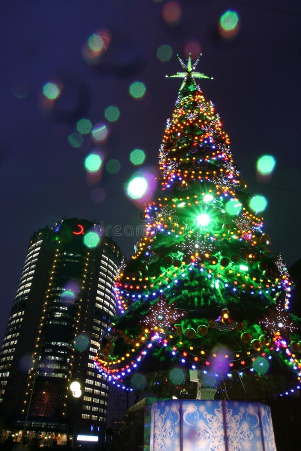 夜间在城市里的圣诞树或圣诞树 免版税库存图片 夜间在城市里的圣诞树或圣诞树 免版税库存图片
