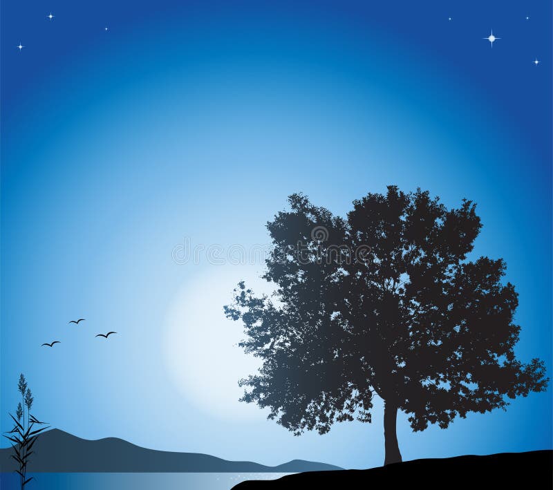 Vector Illustration of Night Landscape with Tree Silhouette and Lake. Vector Illustration of Night Landscape with Tree Silhouette and Lake.