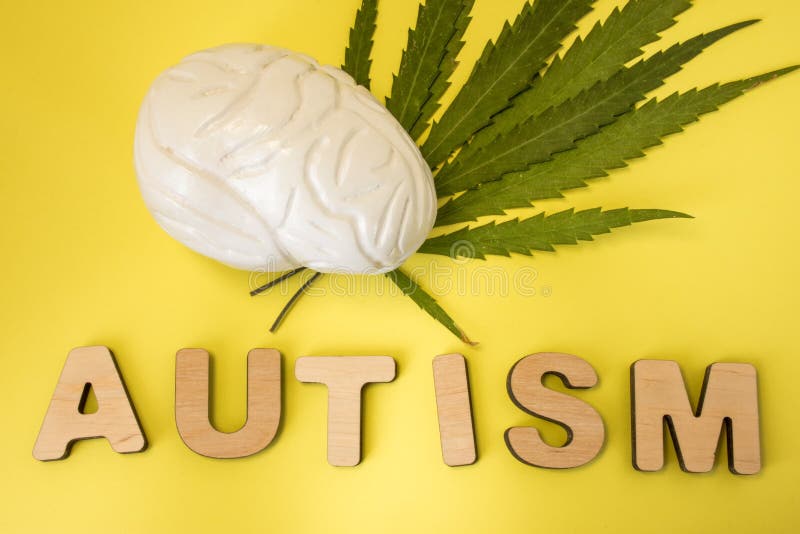 大麻或孤独性概念照片的大麻和治疗 人脑图在大麻植物绿色叶子说谎在thr附近 免版税图库摄影 大麻或孤独性概念照片的大麻和治疗 人脑图在大麻植物绿色叶子说谎在thr附近 免版税图库摄影