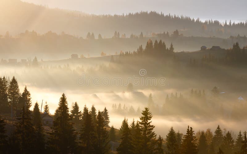  太阳第一日出光芒在喀尔巴阡山脉的 免版税库存照片