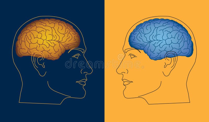Two opposite human profiles with colored brain inside heads. Two opposite human profiles with colored brain inside heads