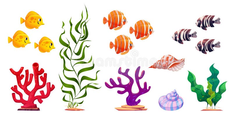 Cartoon set of exotic fish, green seaweed, shells, colorful corals isolated on white background. Vector illustration of sea underwater inhabitants and plants, decorative aquarium design elements. Cartoon set of exotic fish, green seaweed, shells, colorful corals isolated on white background. Vector illustration of sea underwater inhabitants and plants, decorative aquarium design elements