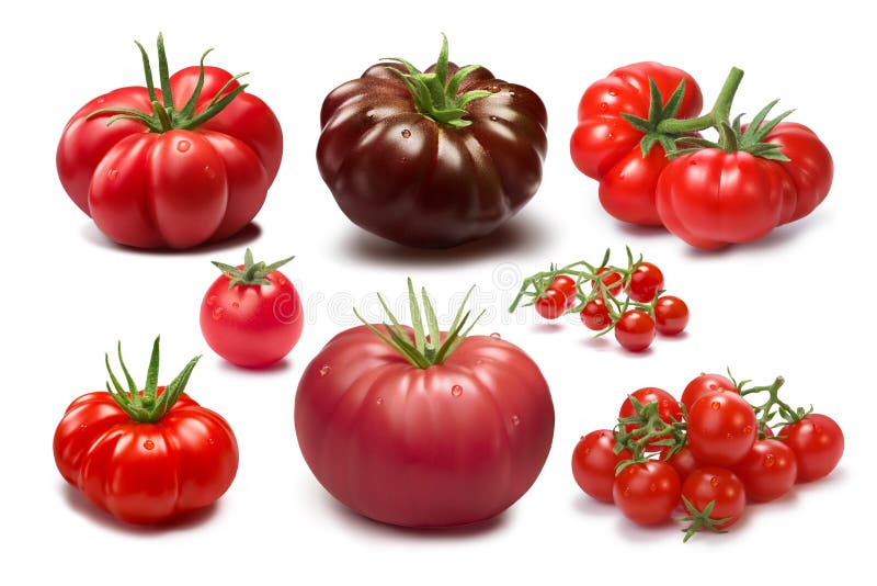 Collection of different tomato cultivars. Various shapes and colors. Heirloom tomatoes. Clipping paths, shadows separated, infinite depth of field. Design elements. Collection of different tomato cultivars. Various shapes and colors. Heirloom tomatoes. Clipping paths, shadows separated, infinite depth of field. Design elements