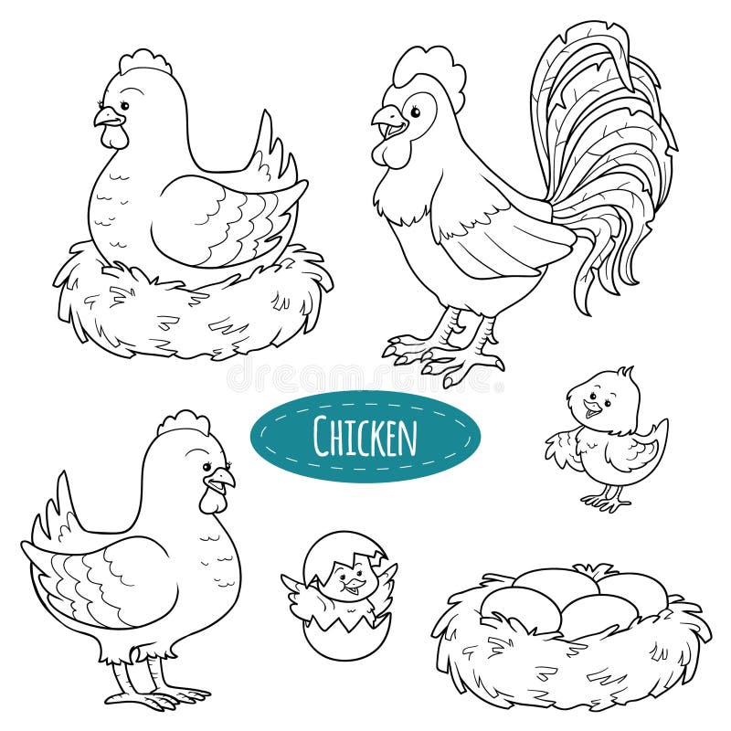 Set of cute farm animals and objects, vector family chicken. Set of cute farm animals and objects, vector family chicken