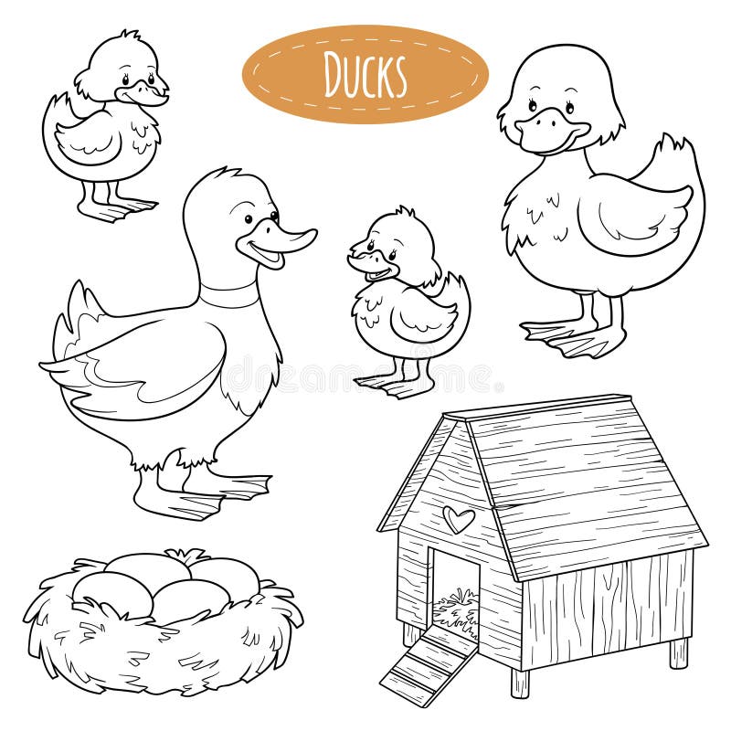 Colorless set of cute farm animals and objects, vector family ducks. Colorless set of cute farm animals and objects, vector family ducks