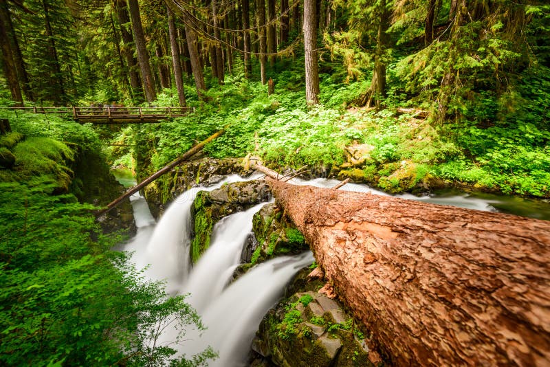 Sol Duc Falls in Olympic National Park, Washington, USA. Sol Duc Falls in Olympic National Park, Washington, USA