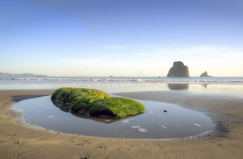 Olympic National Park, beach, landscape. Olympic National Park, beach, landscape