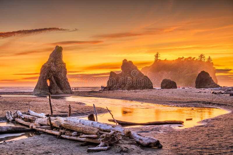 Olympic National Park, Washington, USA at Ruby Beach with piles of deadwood. Olympic National Park, Washington, USA at Ruby Beach with piles of deadwood.