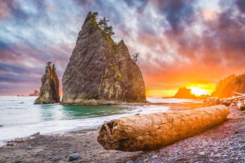 Olympic National Park, Washington, USA at Rialto Beach. Olympic National Park, Washington, USA at Rialto Beach.