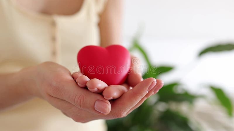 女人手握着心脏. 情人节. 健康心爱和慈善志愿社会工作母亲日
