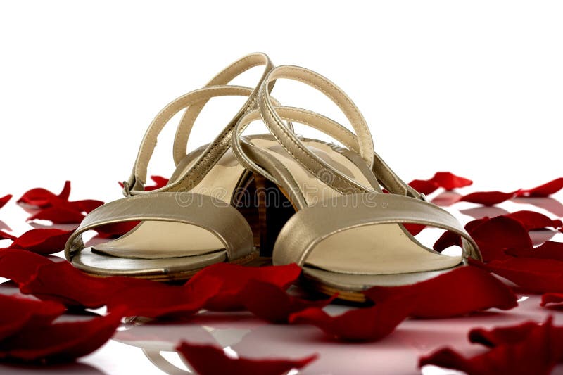 女士凉鞋 库存照片