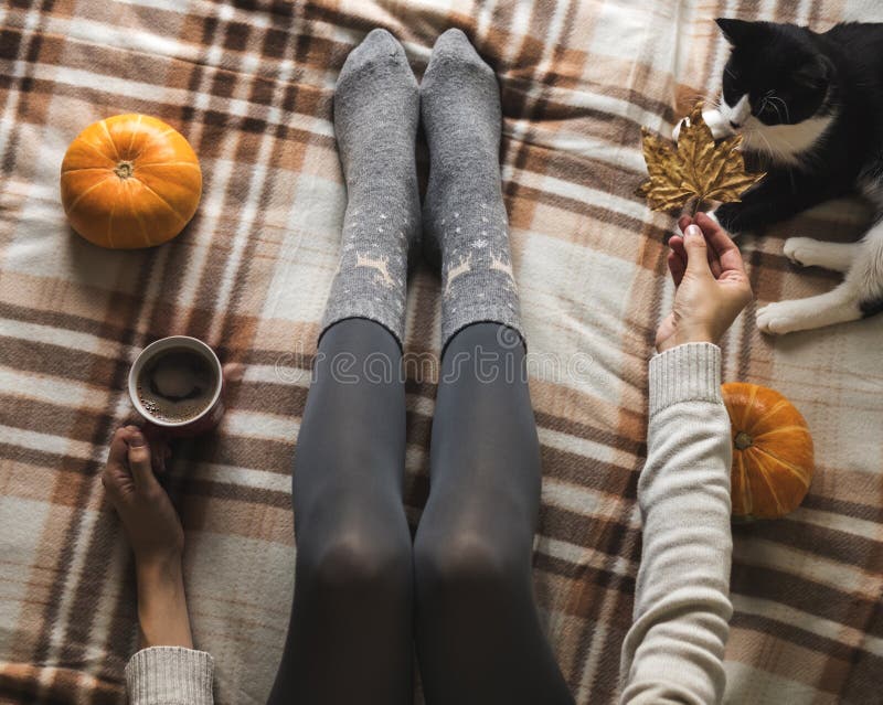 Women`s hands and feet in sweater and woolen cozy gray socks holding cup of hot coffee, sitting on plaid with kitten, pumpkin, candles and leaves. Concept winter comfort, morning drinking. Women`s hands and feet in sweater and woolen cozy gray socks holding cup of hot coffee, sitting on plaid with kitten, pumpkin, candles and leaves. Concept winter comfort, morning drinking