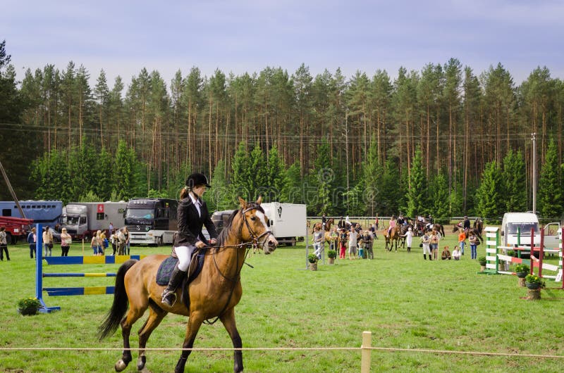 妇女在horserace跳栏板的乘驾马 图库摄影 妇女在horserace跳栏板的乘驾马 图库摄影