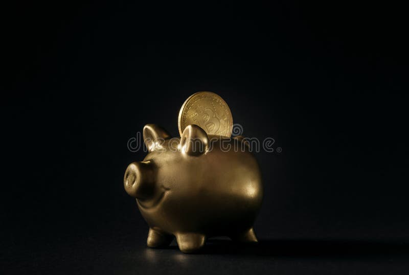 存钱罐 做与一枚bitcoin硬币的金子在硬币孔 e钱包和cryptocurrency储蓄的概念 库存图片 存钱罐 做与一枚bitcoin硬币的金子在硬币孔 e钱包和cryptocurrency储蓄的概念 库存图片