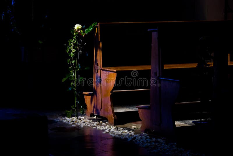 A lonely rose, part of a wedding decoration inside a church, illuminated by a natural spot light. A lonely rose, part of a wedding decoration inside a church, illuminated by a natural spot light