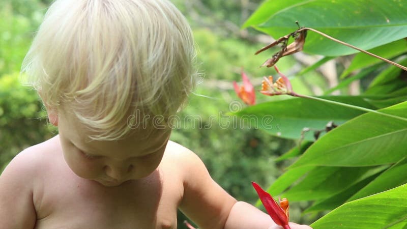 孩子学会花