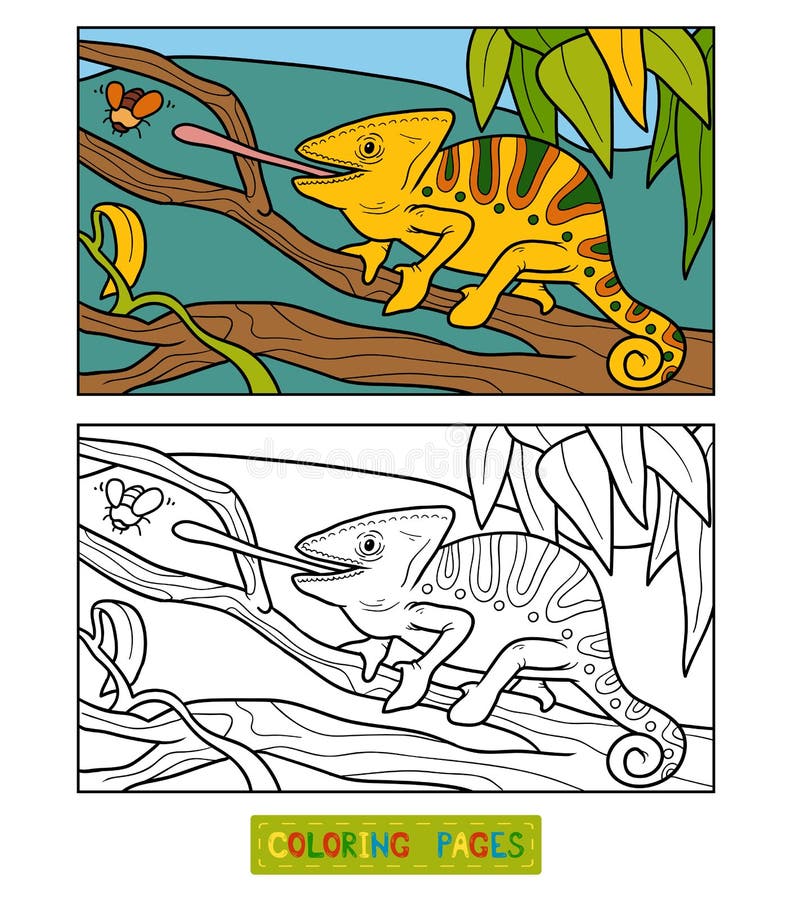 Coloring book, education game for children (chameleon). Coloring book, education game for children (chameleon)