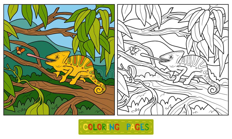 Coloring book, education game for children (chameleon). Coloring book, education game for children (chameleon)