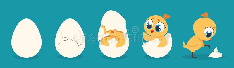 孵化鸡 动画片婴孩小鸡生日逐步的过程,逗人喜爱的平的禽畜字符 传染媒介例证为 库存例证 孵化鸡 动画片婴孩小鸡生日逐步的过程,逗人喜爱的平的禽畜字符 传染媒介例证为 库存例证