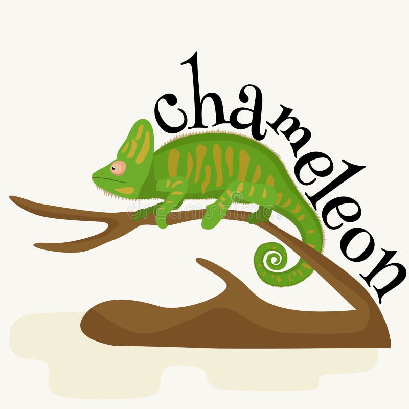Pet chameleon for home, lizard and reptile isolated vector illustration pictograms. Pet chameleon for home, lizard and reptile isolated vector illustration pictograms