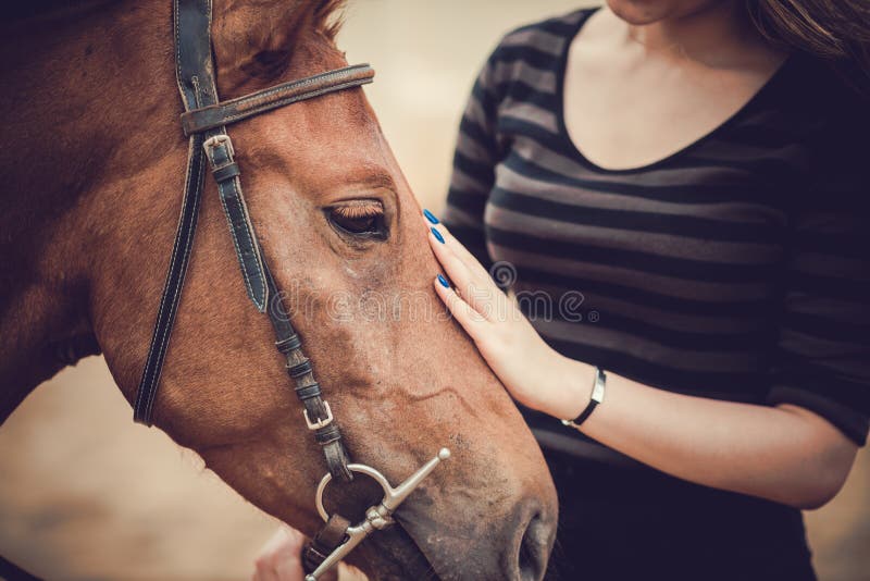 Close-up of horsewoman stroking her pet. Close-up of horsewoman stroking her pet